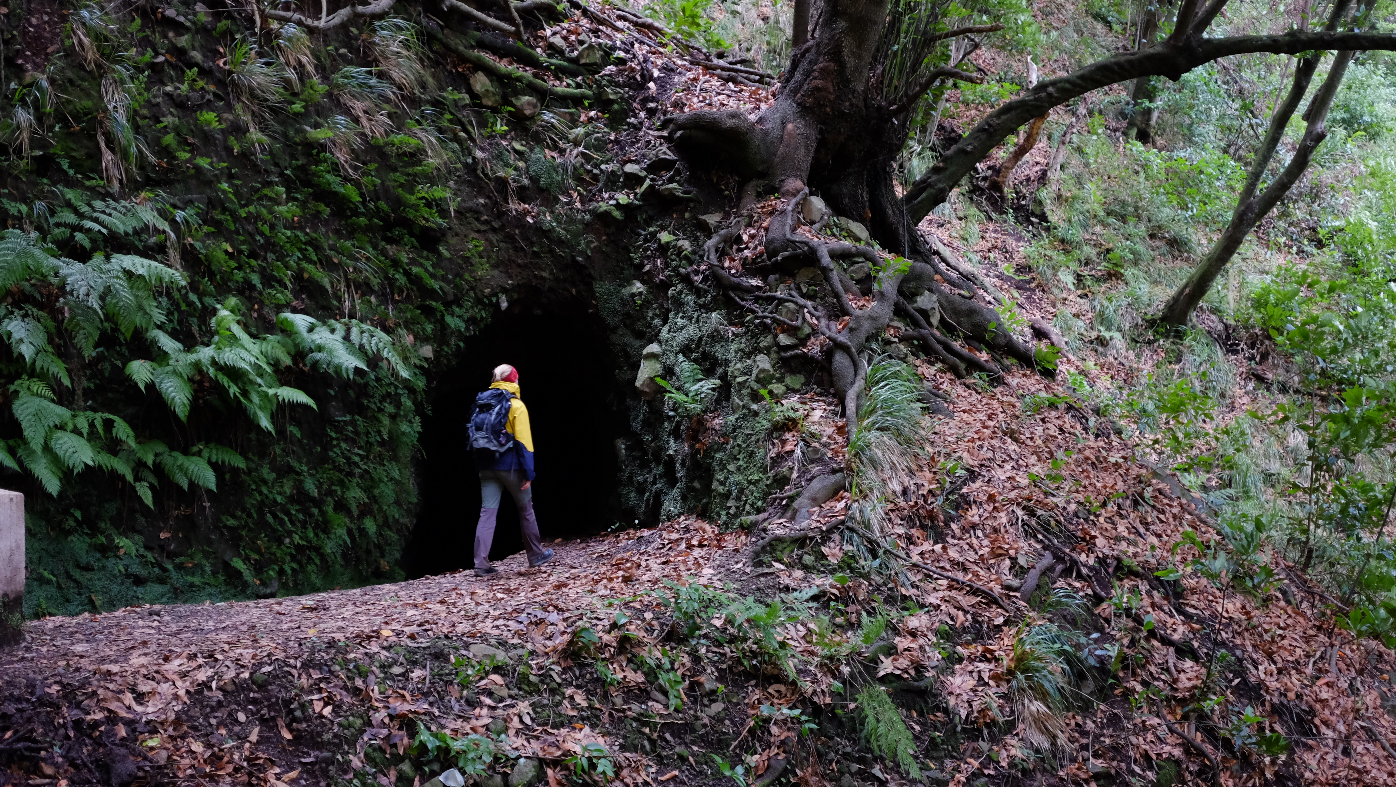 About Madeira